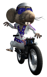 Motorcycle Rat